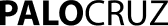 Logo de proyecto exitoso